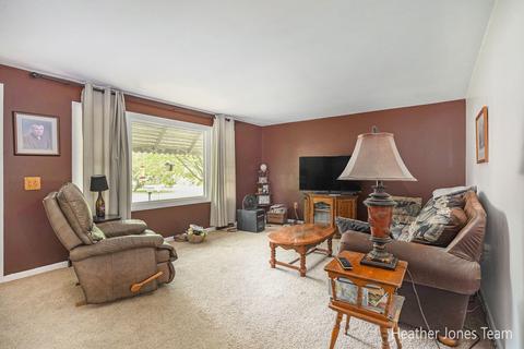 832 Carlson Dr NW, Stanton, MI 48888 photo 3