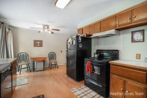 832 Carlson Dr NW, Stanton, MI 48888 photo 6