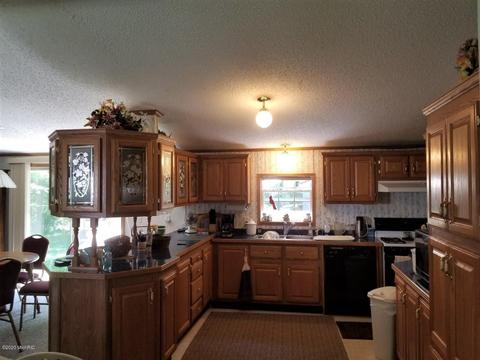 6354 E Peavey St, Walkerville, MI 49459 photo 4