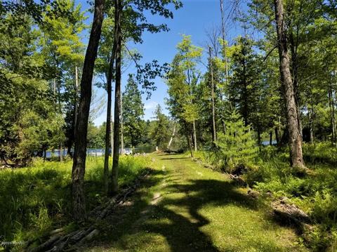 6354 E Peavey St, Walkerville, MI 49459 photo 30