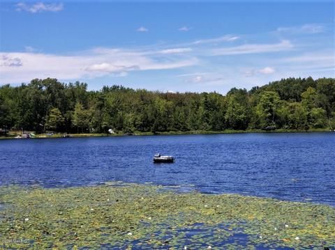 6354 E Peavey St, Walkerville, MI 49459 photo 31