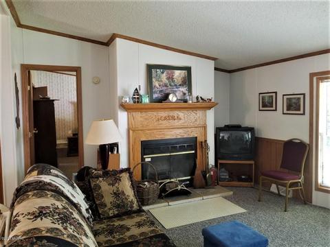 6354 E Peavey St, Walkerville, MI 49459 photo 3