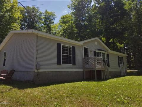 6354 E Peavey St, Walkerville, MI 49459 photo 2