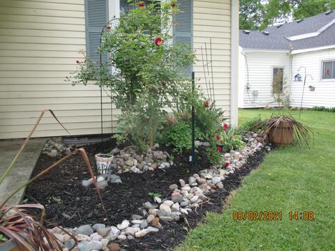 100 Walnut St, Coldwater, MI 49036 photo 30