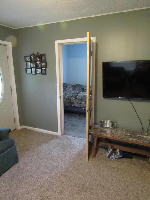 255 N Robinson St, Lyons, MI 48851 photo 22