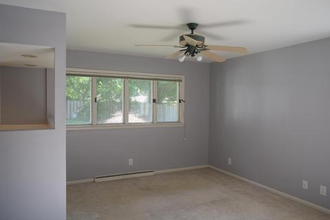400 E Maple, Fremont, MI 49412 photo 25