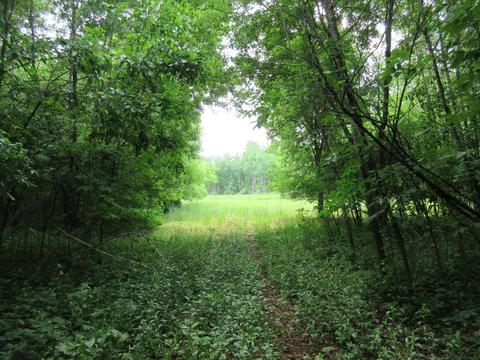 9400 E Spencer Rd, Crystal, MI 48818 photo 63
