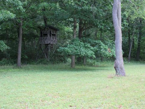 9400 E Spencer Rd, Crystal, MI 48818 photo 51