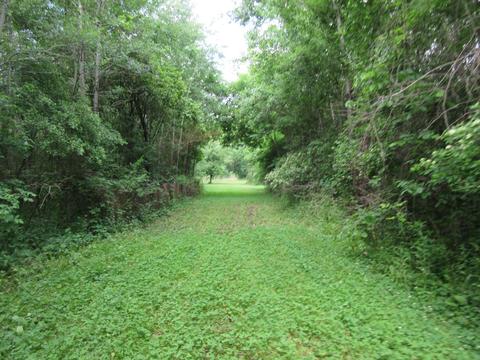 9400 E Spencer Rd, Crystal, MI 48818 photo 54