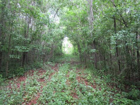 9400 E Spencer Rd, Crystal, MI 48818 photo 58