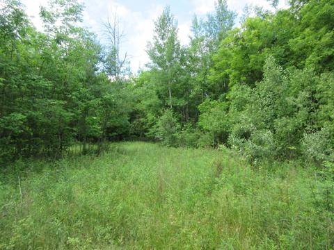 9400 E Spencer Rd, Crystal, MI 48818 photo 62