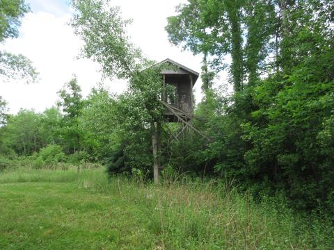 9400 E Spencer Rd, Crystal, MI 48818 photo 52