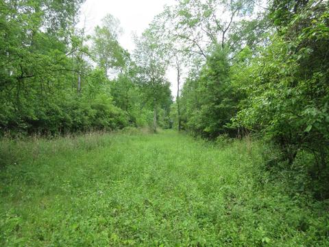 9400 E Spencer Rd, Crystal, MI 48818 photo 60