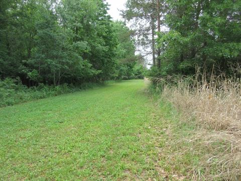 9400 E Spencer Rd, Crystal, MI 48818 photo 49