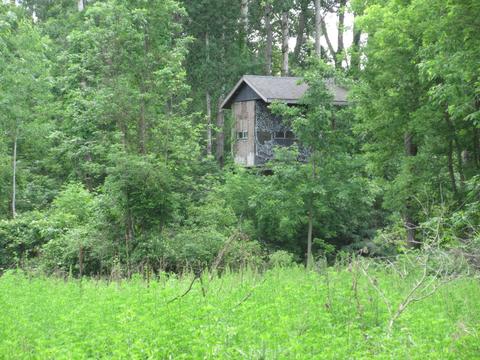 9400 E Spencer Rd, Crystal, MI 48818 photo 57