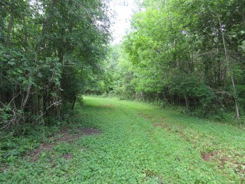 9400 E Spencer Rd, Crystal, MI 48818 photo 56