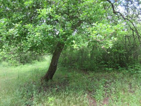 9400 E Spencer Rd, Crystal, MI 48818 photo 61