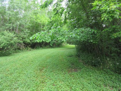 9400 E Spencer Rd, Crystal, MI 48818 photo 55