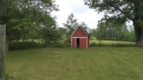 16980 Bailey Rd, Bailey, MI 49303 photo 13