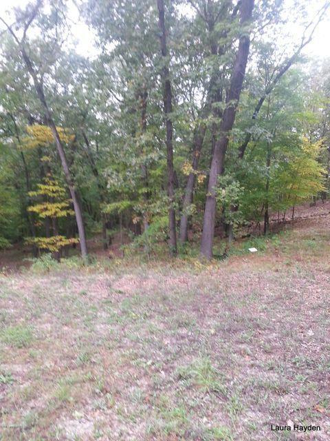 Vising Drive Lot 6, Lowell, MI 49331