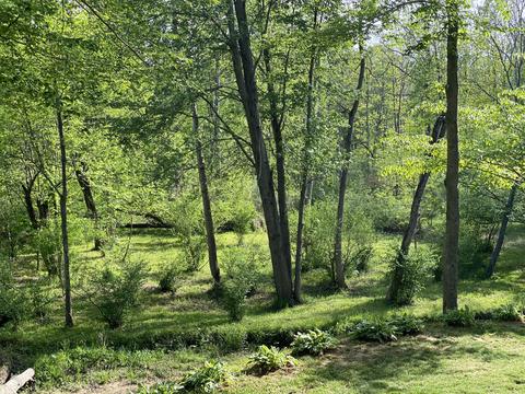 5774 105th Ave, Pullman, MI 49450 photo 5