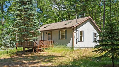 4150 S Forest Hill Dr, Baldwin, MI 49304 photo 5