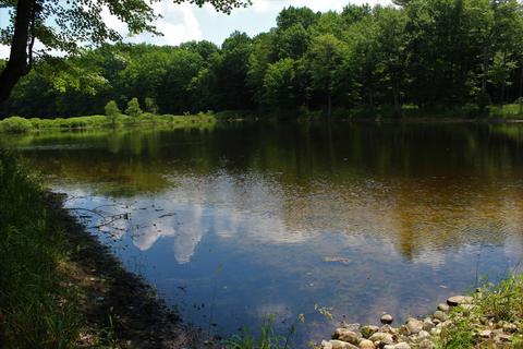 3943 W Main Rd SW, Stanton, MI 48888 photo 8