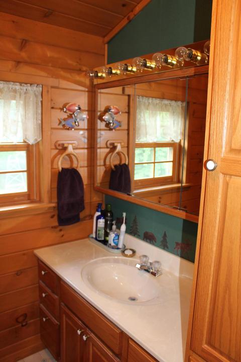 3943 W Main Rd SW, Stanton, MI 48888 photo 43