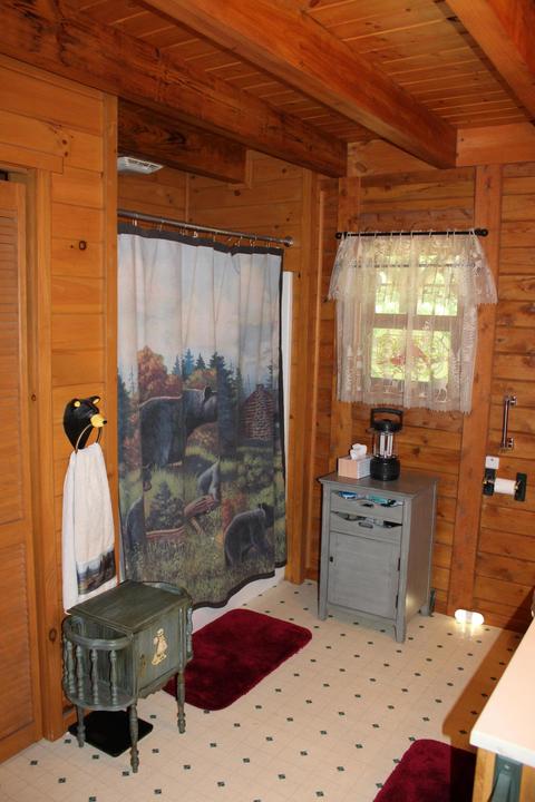 3943 W Main Rd SW, Stanton, MI 48888 photo 32