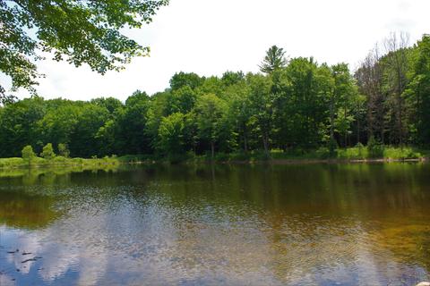 3943 W Main Rd SW, Stanton, MI 48888 photo 10