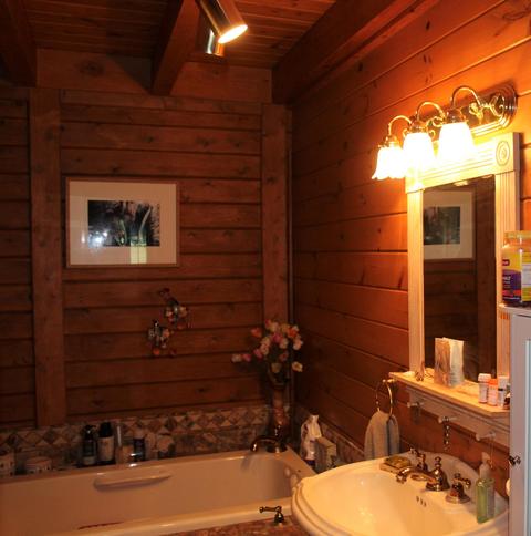 3943 W Main Rd SW, Stanton, MI 48888 photo 29