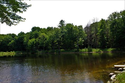 3943 W Main Rd SW, Stanton, MI 48888 photo 9