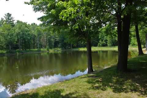 3943 W Main Rd SW, Stanton, MI 48888 photo 12
