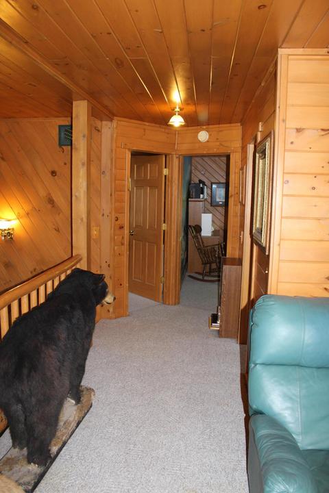 3943 W Main Rd SW, Stanton, MI 48888 photo 36