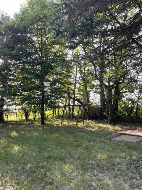 18820 Sixth Ave, Three Rivers, MI 49093 photo 3