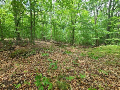 112 Logging Trl, Leroy, MI 49655 photo 1