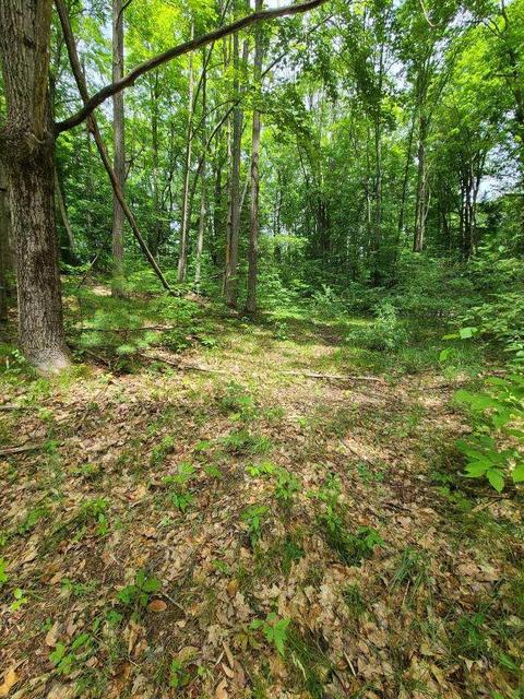 112 Logging Trl, Leroy, MI 49655 photo 6