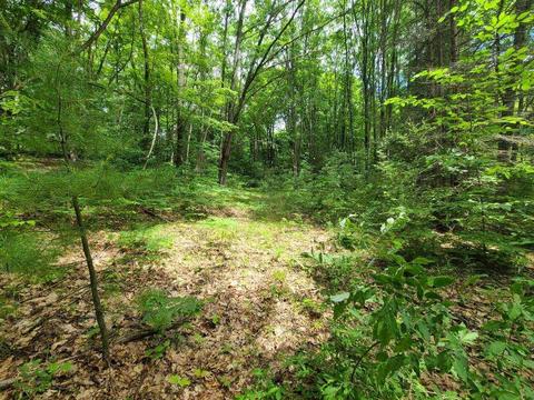 112 Logging Trl, Leroy, MI 49655 photo 4