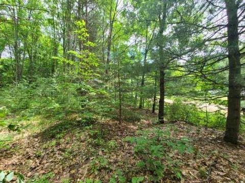 112 Logging Trl, Leroy, MI 49655 photo 3