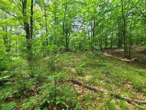 112 Logging Trl, Leroy, MI 49655 photo 11