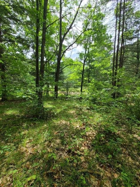 112 Logging Trl, Leroy, MI 49655 photo 7