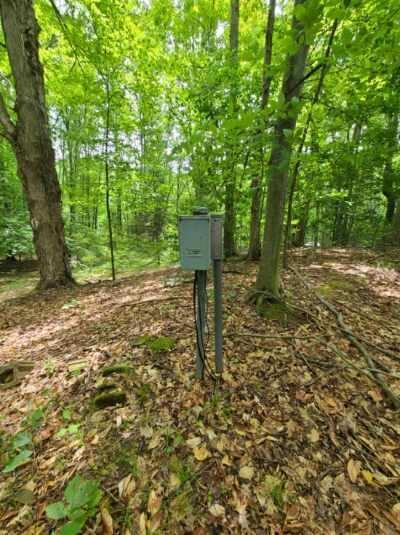 112 Logging Trl, Leroy, MI 49655 photo 9