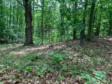 112 Logging Trl, Leroy, MI 49655 photo 13