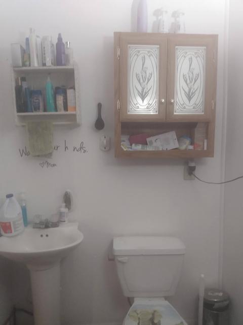 4916 110th Ave, Morley, MI 49336 photo 25