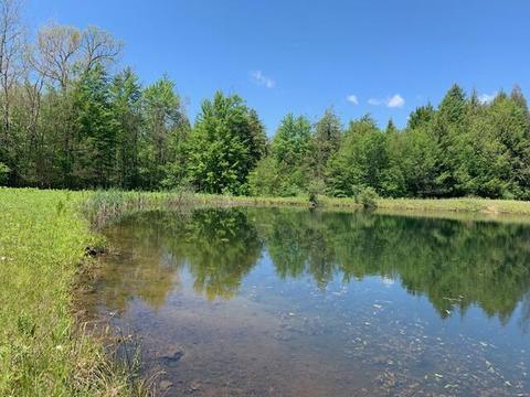 7657 E 72nd St, Chase, MI 49623 photo 14