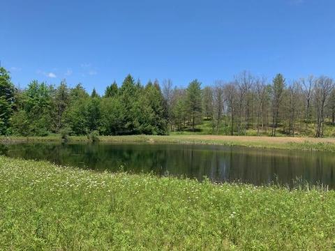 7657 E 72nd St, Chase, MI 49623 photo 11