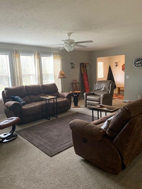 7657 E 72nd St, Chase, MI 49623 photo 30