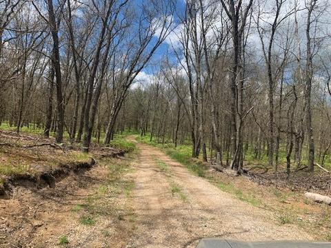 7657 E 72nd St, Chase, MI 49623 photo 7