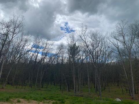 7657 E 72nd St, Chase, MI 49623 photo 20