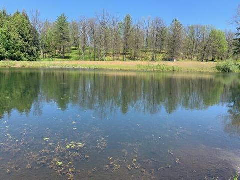 7657 E 72nd St, Chase, MI 49623 photo 13
